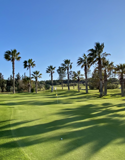 Belek: Golf Destination